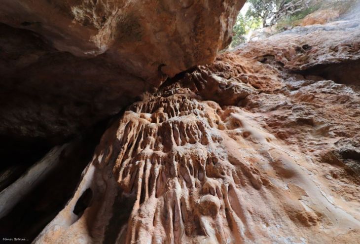 Ущелье Петратис: в гости к орлам, змеям и лягушкам (фото) | Европа Кипр